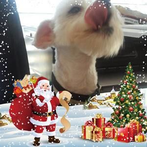 Meet your Posher, Corrine